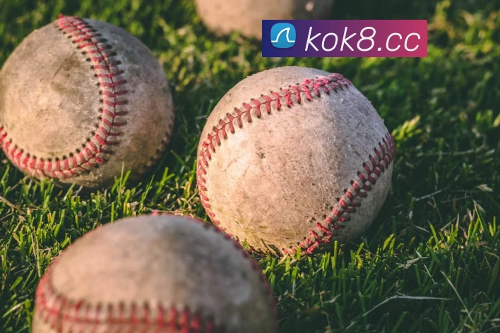 kok体育官网APP 封面图